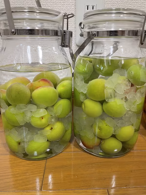 みんなの投稿の画像