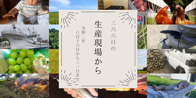 1歳児の可愛いお手伝いシーン😍2020年8月後半の生産現場から