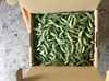 【鹿児島産】甘塩スナップエンドウ箱込み4キロ^_^