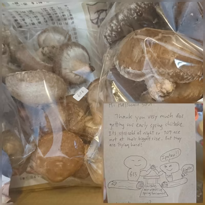 みんなの投稿の画像