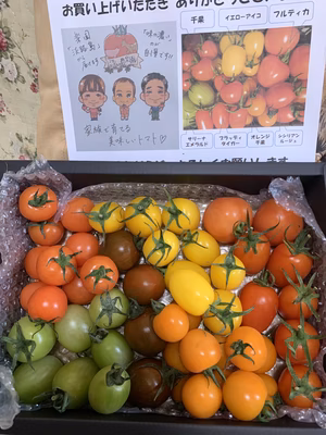 みんなの投稿の画像