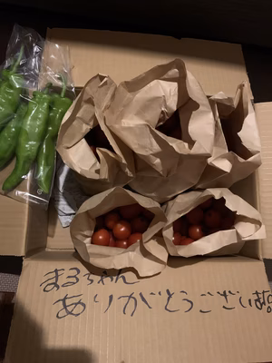 みんなの投稿の画像