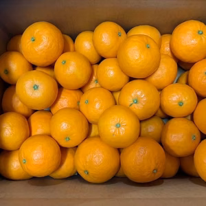 はれひめ【限定20箱】