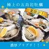 特別価格！濃厚大ぶり『岩牡蠣』L10個生食用 五島　※送料無料商品も出品中