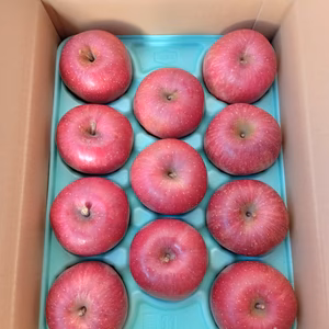 長野県松川町産サンふじ贈答品3kg.5kg(8〜12玉)大玉