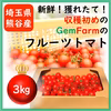 【朝採れ】数量限定！収穫初めの高糖度フルーツトマト