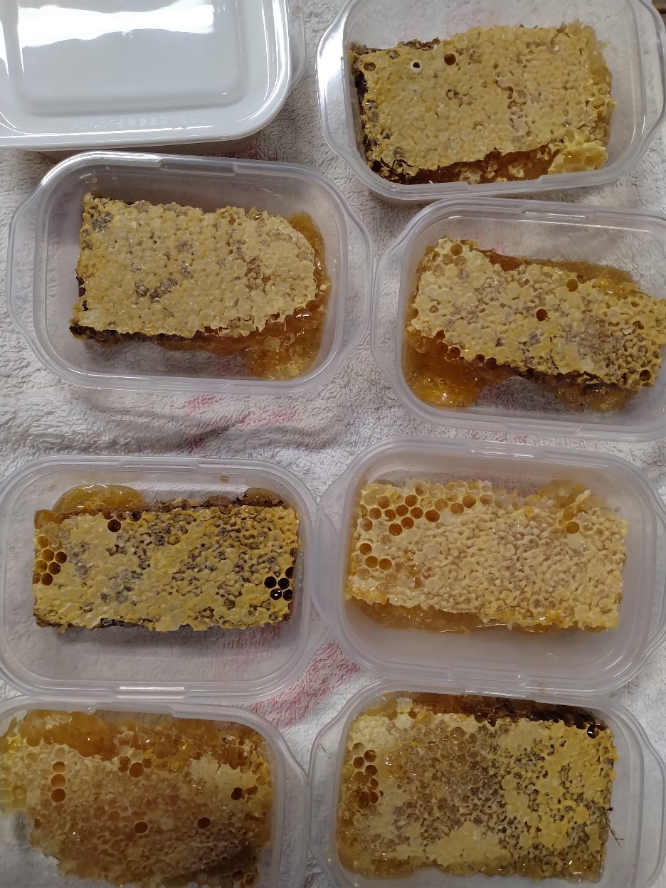 冬期限定発売 自然食品 日本蜜蜂 巣蜜 コムハニー 非加熱蜂蜜 生
