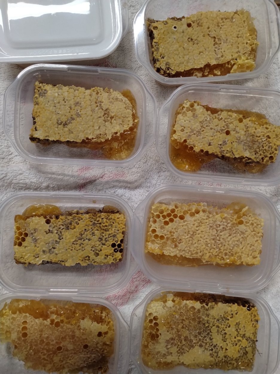 日本蜜蜂の巣蜜 130g3パック コムハニー ｜蜂蜜の商品詳細