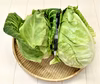 【おすすめ商品】柔らかくて美味しい！とんがりキャベツのセット