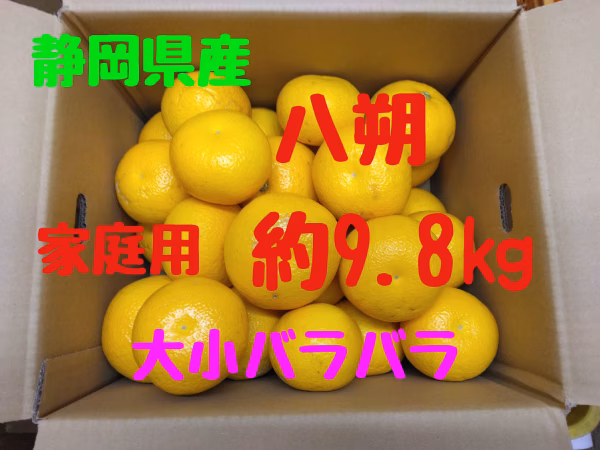 静岡県産　八朔　家庭用　大小バラバラ　約9.8㎏