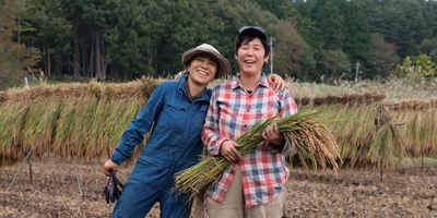 山奥で女性農家さんと運動がてらの稲刈りしてきた報告書