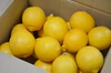 《香りと甘みが強い特選レモン》贈答用にも◎（大小混合）