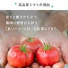 【トマトジュース専門農家】無添加トマトジュース180ml×10本