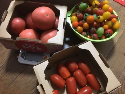 みんなの投稿の画像