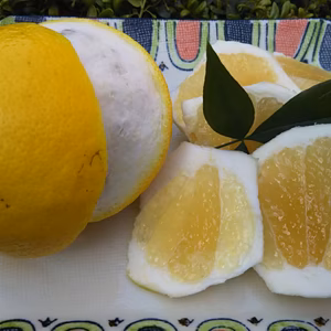 残り3箱 ニューサマー オレンジ～初夏を感じさせるさっぱりとしたおいしさ～