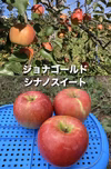 食べくらべ！シナノスイート＆ジョナゴールドセット【家庭用】ネオニコ農薬不使用
