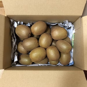 山梨県産キウイフルーツ（ヘイワード）1玉60〜110g