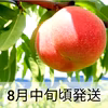 【桃を味わい尽くしたい方】園主一押し!!!旬の桃リレー♪