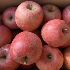 すぐ発送できます‼️山形県産サンふじ【訳あり5キロ】