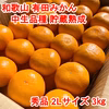 【秀品・中生品種・２Ｓサイズ】和歌山有田産みかん≪3㎏≫　★１月７日以降発送