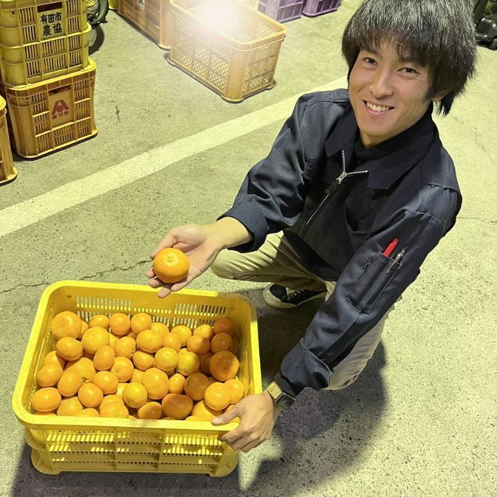 10kg 農家直送 紀州南高梅 樽 つぶれ梅 かわあつ梅 無添加 和歌山 白梅
