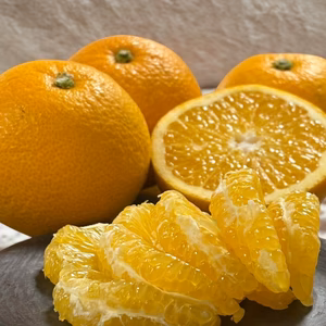 シャキプリッ♪和歌山の甘酸っぱい八朔