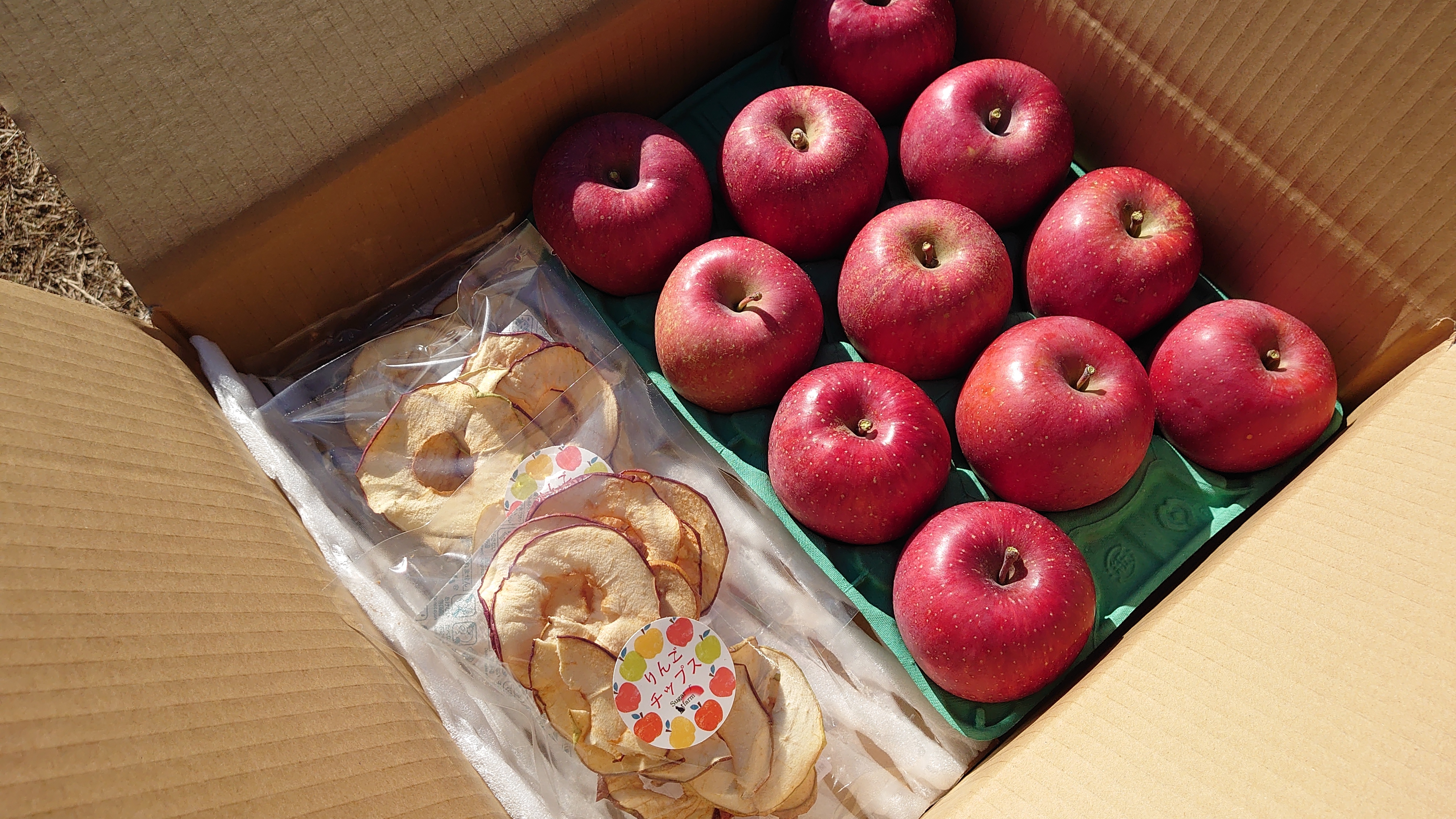 りんごチップスセット！長野県認証栽培サンふじ3kg｜りんごの商品