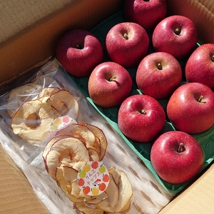 りんごチップスセット！長野県認証栽培サンふじ3ｋｇ