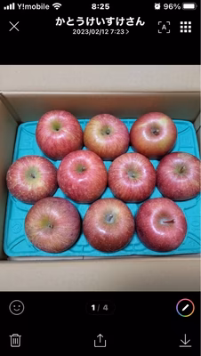 みんなの投稿の画像