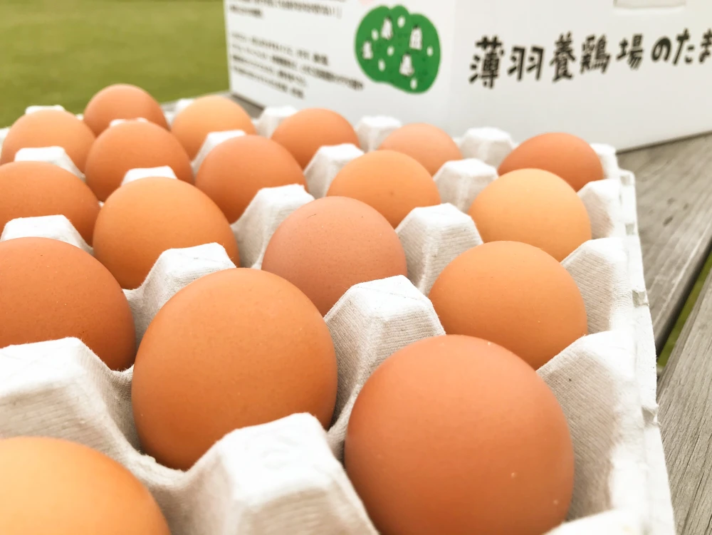□日付指定可□【ちょっと小さめ赤卵50個×2箱】『枯草菌』育ちの鶏の赤卵100個