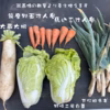 鍋に最適！　固定種の野菜セット12月 (師走)