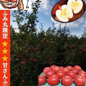 青森県産りんご！　大人気りんご！　糖度13%以上保証　限定販売　100箱　家庭用