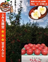 青森県産りんご！　大人気りんご！　糖度13%以上保証　限定販売　100箱　家庭用