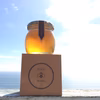 Unzen Pure Honey【ニホンミツバチのはちみつ】