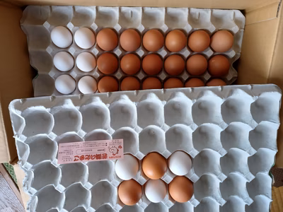 みんなの投稿の画像