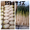 【訳あり】ミニ大根・薬味ねぎ