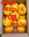限定セール　静岡県産　八朔　約4.5㎏