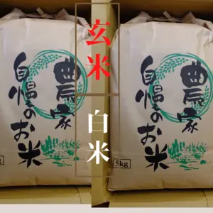 【玄米】５K【白米】５K　新潟コシヒカリ（令和4年度産）
