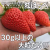 【2026キックオフセール】べにほっぺ30ｇ以上の大粒をたっぷり500g