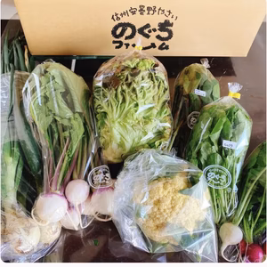 のぐちファーム安曇野産☆季節の野菜セット80サイズ