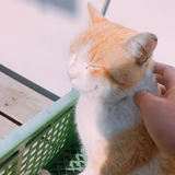 あっちゃん@群馬