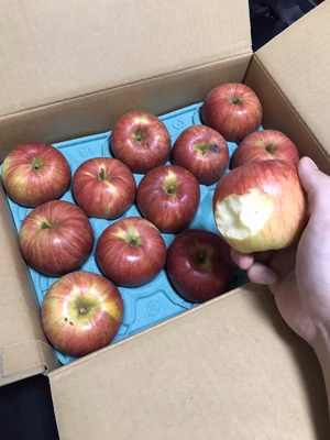 みんなの投稿の画像