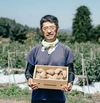 衝撃の柔らかさ!山形県伝統野菜 悪戸芋(里芋) 皮剥き真空(冷凍)400g×4袋