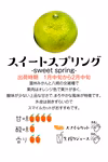 【希少品種】今が食べ頃化学農薬不使用の小豆島産スイートスプリング5kg