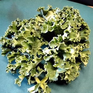 カリーノケール