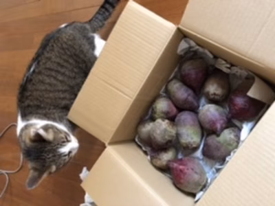 みんなの投稿の画像