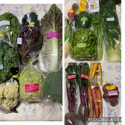 みんなの投稿の画像