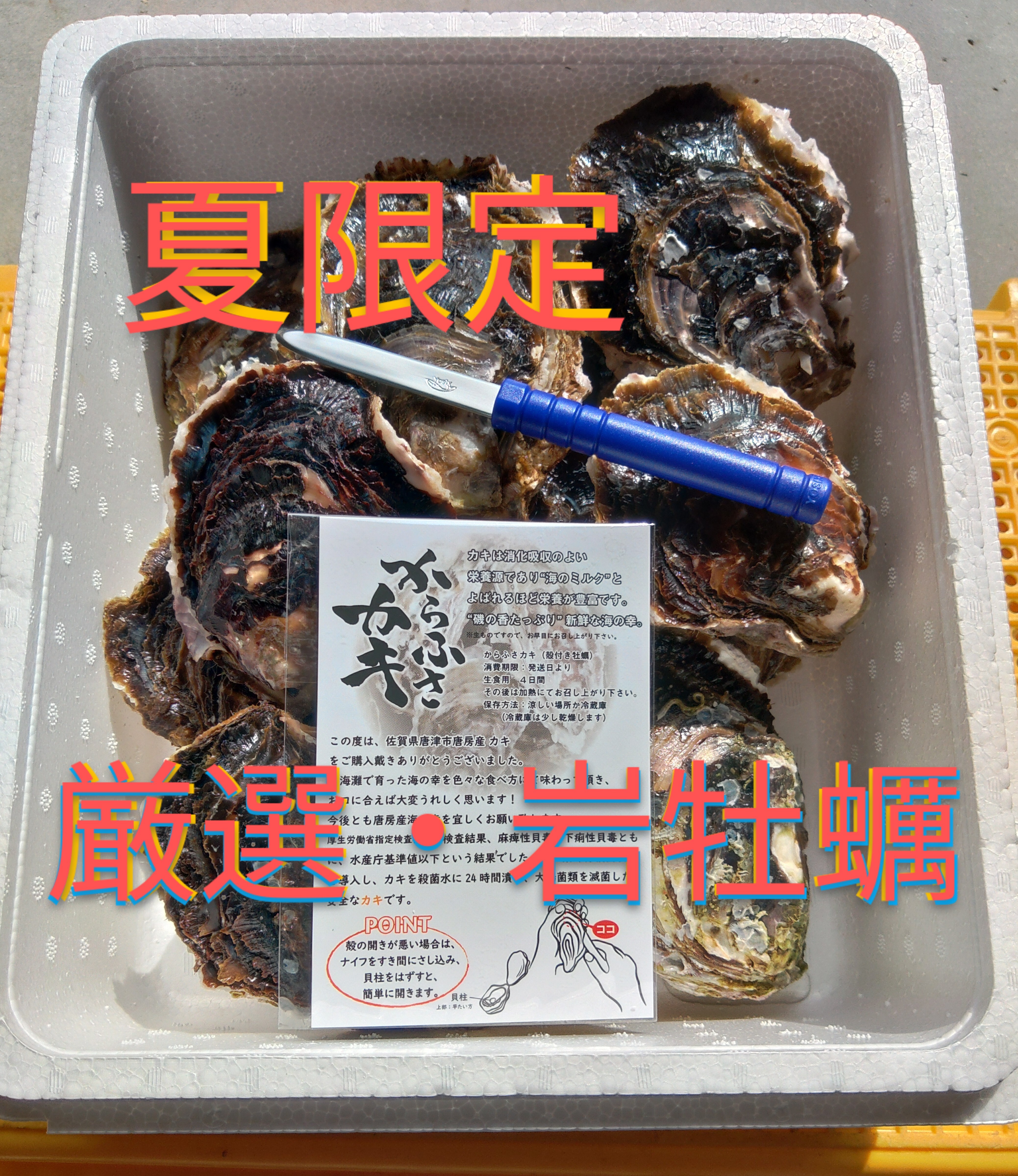 お一人様限定価格！1000円引き　真牡蠣10kg 注文受付後水揚げ　漁師直送 楽天市場】【ふるさと納税】北海道 仙鳳趾名産 牡蠣 + かき