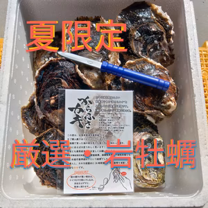 【夏限定】からふさ岩牡蠣・シーズン到来！贈答用・お中元・ご家庭用にいかがですか✨