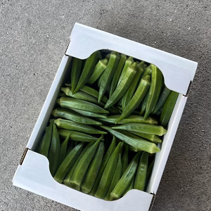 【朝採りオクラ即日発送！】トマト屋が作るねばねば〜オクラ！！